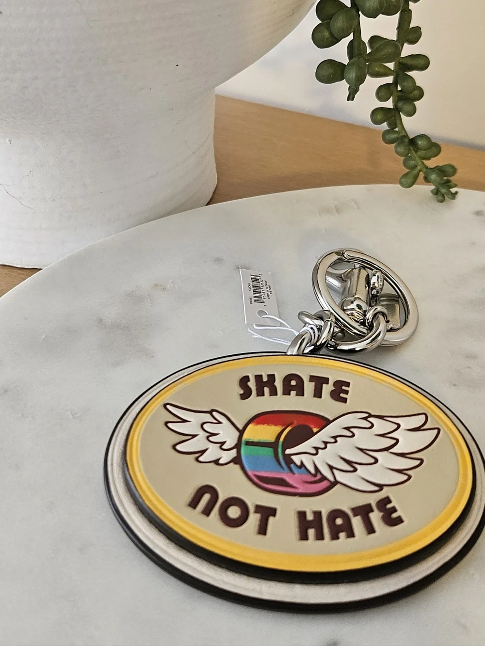 COACH Skate Not Hate Rainbow Wing Keychain ๐ - Picture 3 of 8